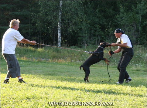 Summer training camp in Finland 2007